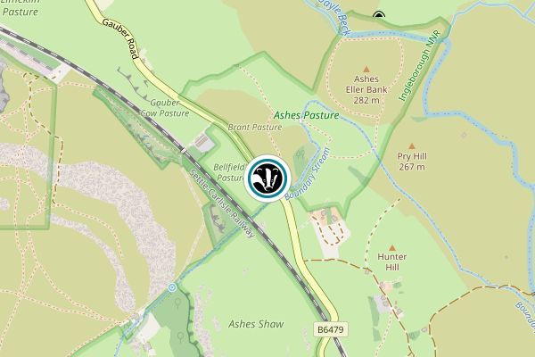 Ashes Pasture Nature Reserve