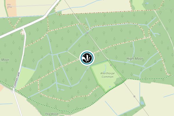Allerthorpe Common Nature Reserve