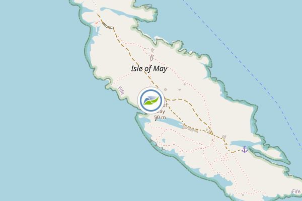 Isle of May National Nature Reserve