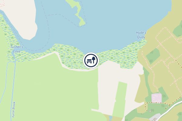 Arne Reedbeds National Nature Reserve