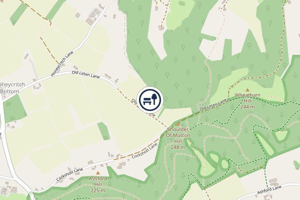 Ashford Hangers National Nature Reserve