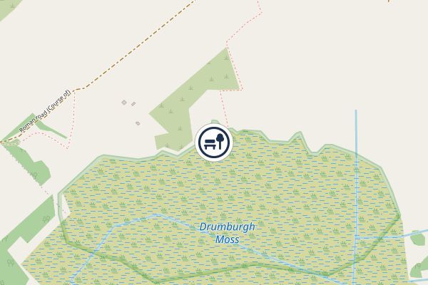 Drumburgh Moss