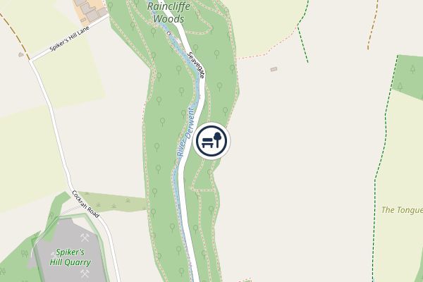 Forge Valley Woods National Nature Reserve
