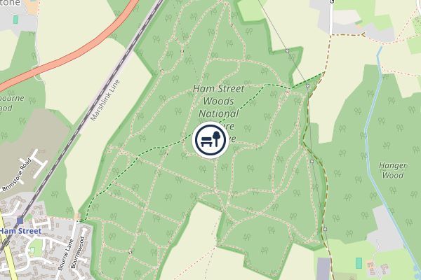 Ham Street Woods National Nature Reserve