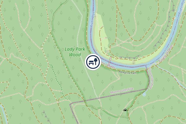 Lady Park Wood National Nature Reserve