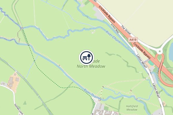 North Meadow, Cricklade National Nature Reserve