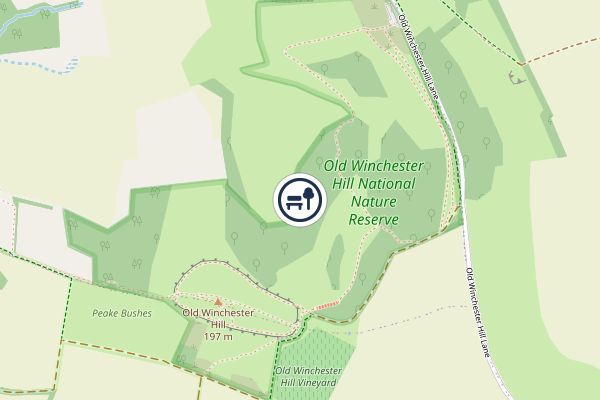 Old Winchester Hill National Nature Reserve