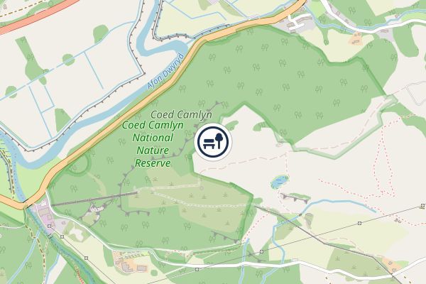 Coed Camlyn National Nature Reserve