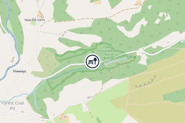 Coed-y-cerrig National Nature Reserve