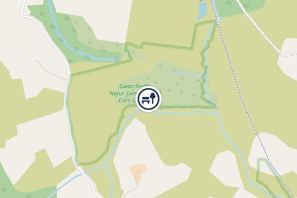 Cors Gyfelog National Nature Reserve