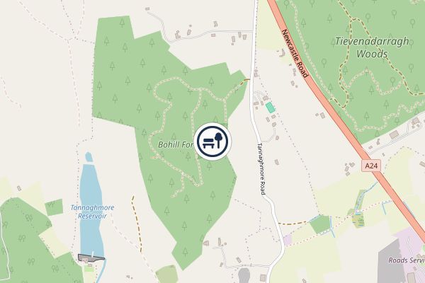 Bohill Forest National Nature Reserve
