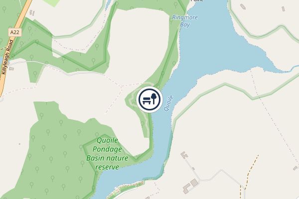 Quoile Pondage Basin National Nature Reserve