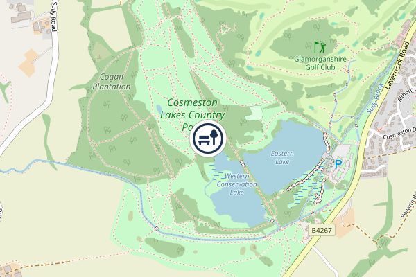 Cosmeston Lakes Country Park Local Nature Reserve