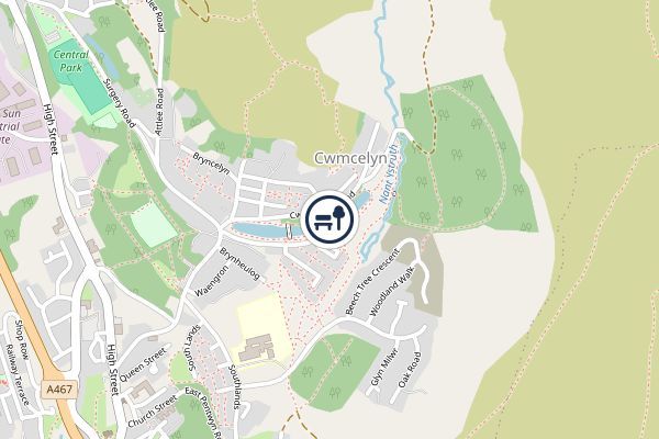 Cwmcelyn Ponds Local Nature Reserve