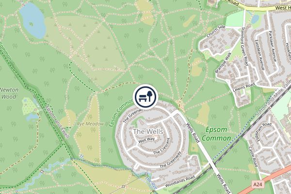Epsom Common Local Nature Reserve