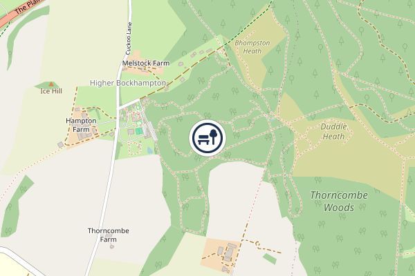 Thorncombe Wood Local Nature Reserve