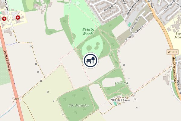Weelsby Woods Park Local Nature Reserve