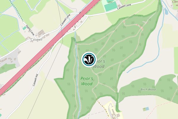 Prior's Wood