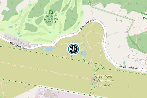 Greenham and Crookham Commons