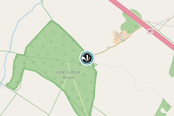 Little Linford Wood