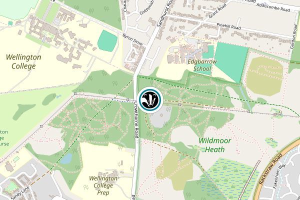 Wildmoor Heath