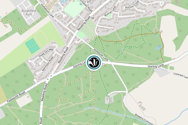 Wokefield Common