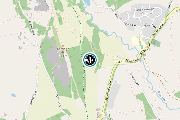 Kerridge Hill
