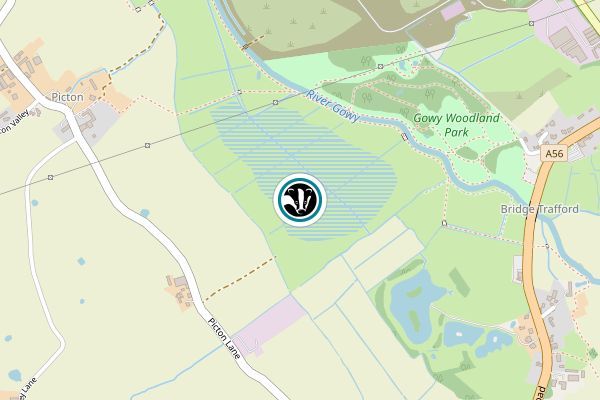 Picton Pastures