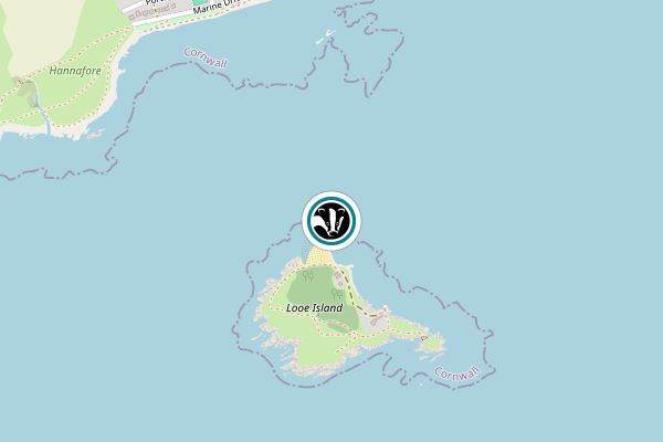 Looe Island