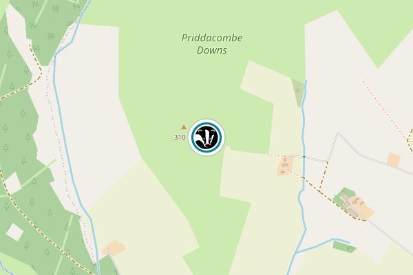 Priddacombe Downs
