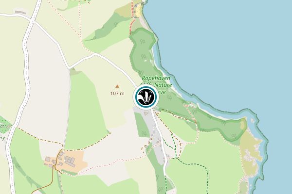Ropehaven Cliffs