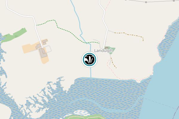 Tamar Estuary