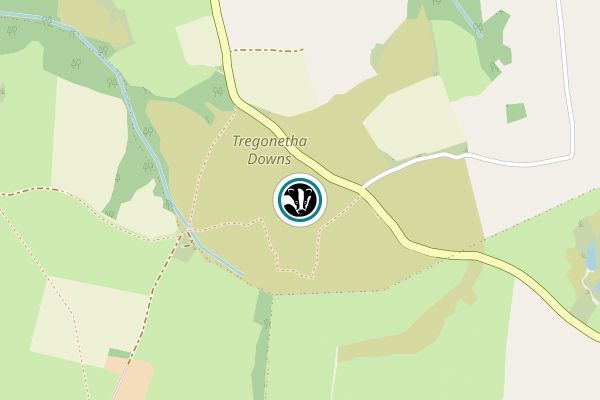 Tregonetha Downs