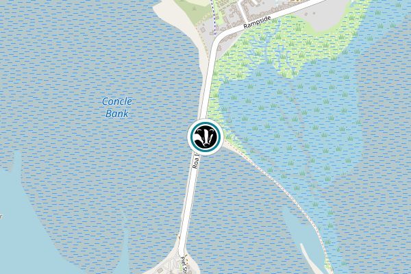 Foulney Island