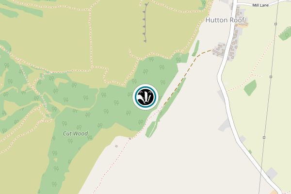 Park Wood