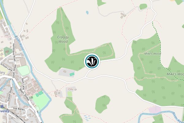 Staveley Woodlands