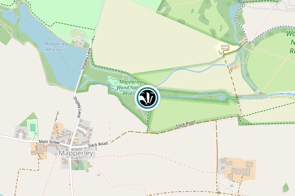 Mapperley Wood