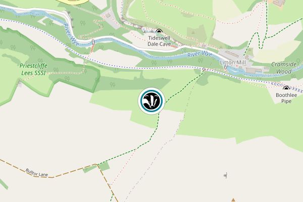 Priestcliffe Lees