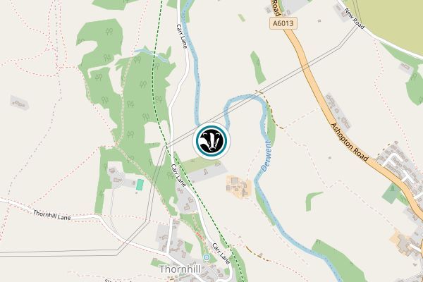 Thornhill Carrs
