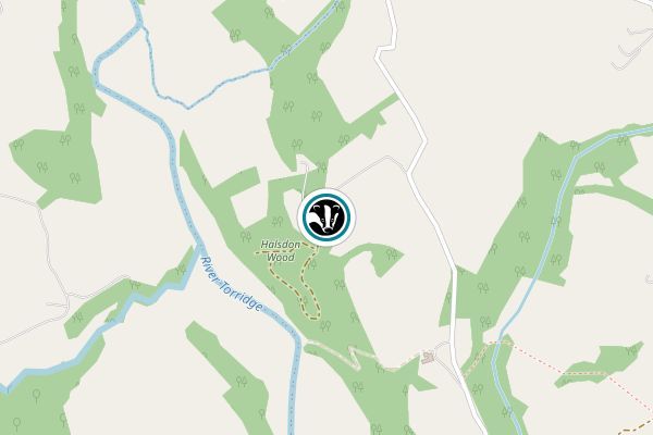 Halsdon
