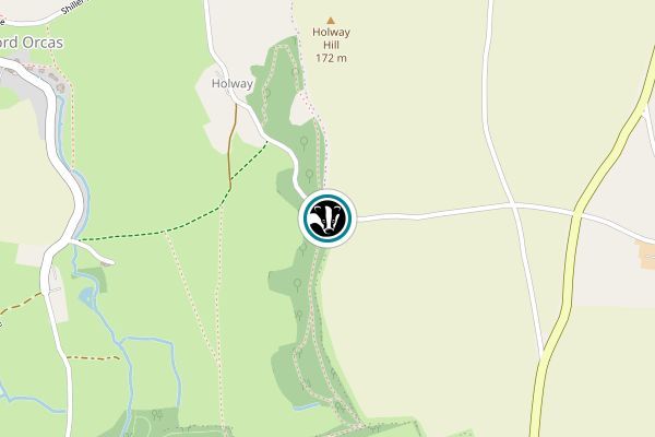 Holway Woods