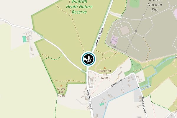 Tadnoll & Winfrith Heath
