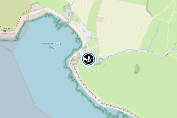 The Fine Foundation Wild Seas Centre