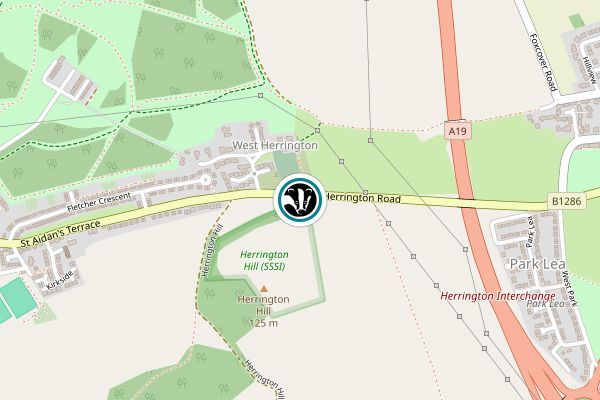 Herrington Hill