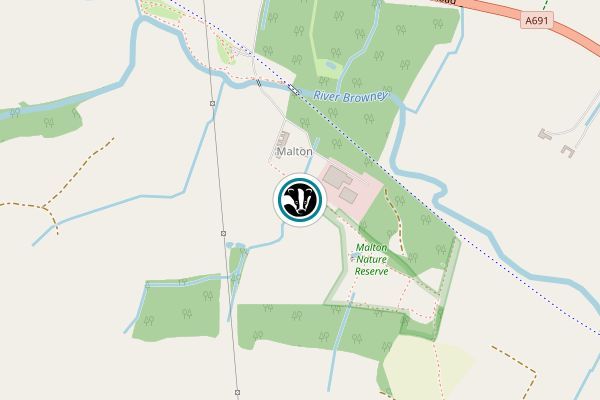 Malton