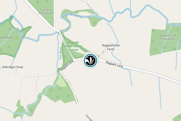 Ragpath Heath