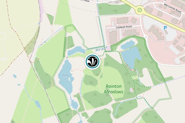 Rainton Meadows