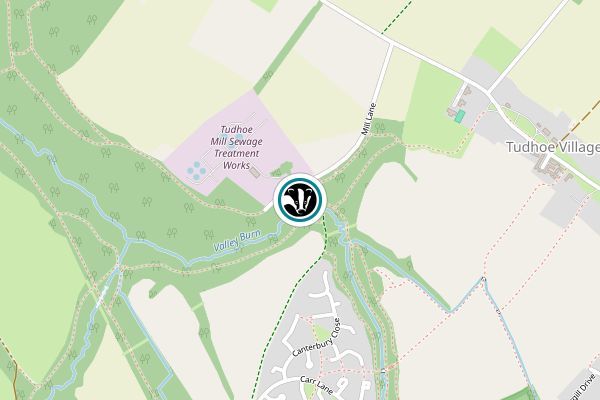 Tudhoe Mill Wood