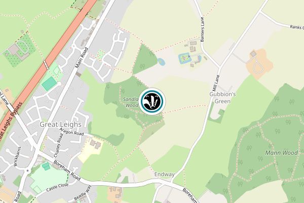 Sandylay and Moat Woods Nature Reserve