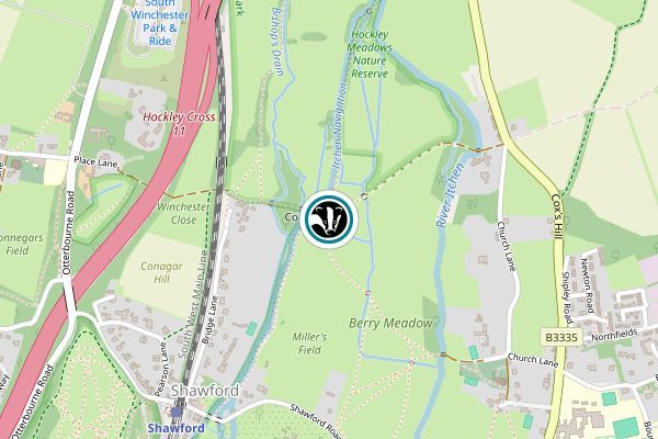 Hockley Meadows Nature Reserve